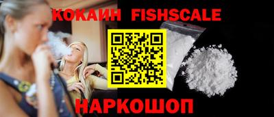индика Славгород