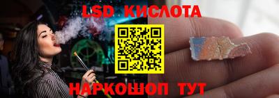 шишки Сланцы