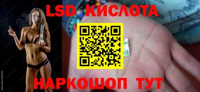 шишки Сланцы