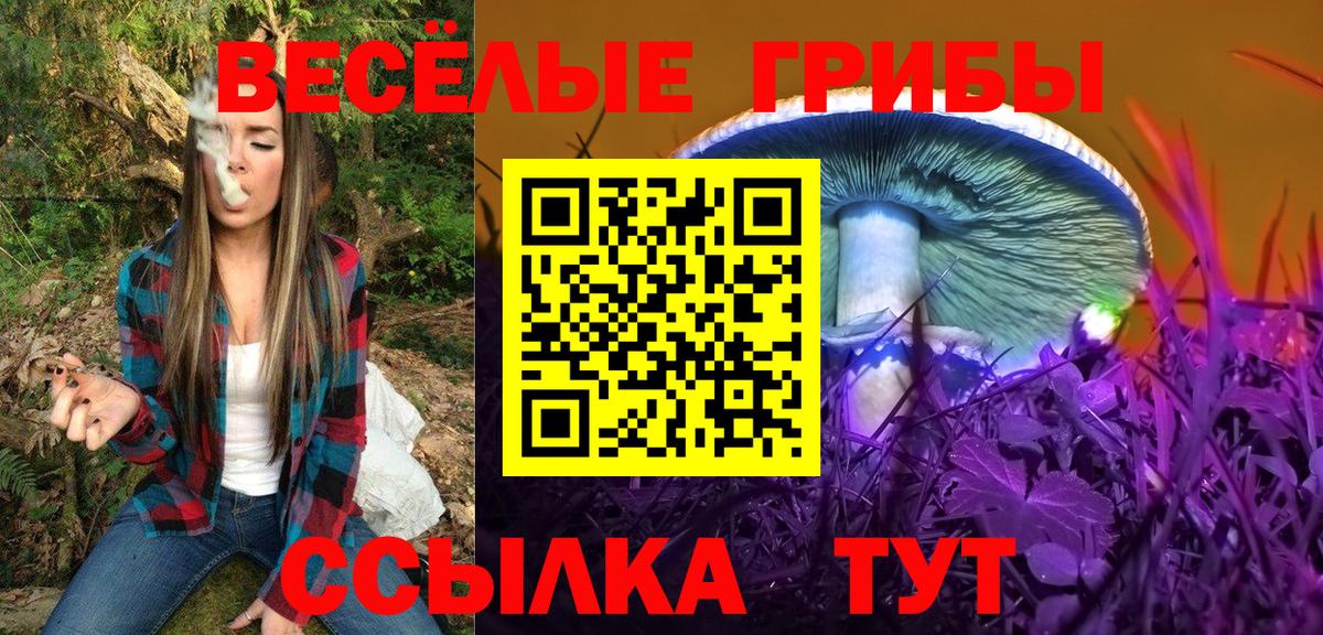 Мелеуз  Псилоцибиновые грибы MAGIC MUSHROOMS  Вход с VPN  Псилоцибиновые грибы прущие грибы 